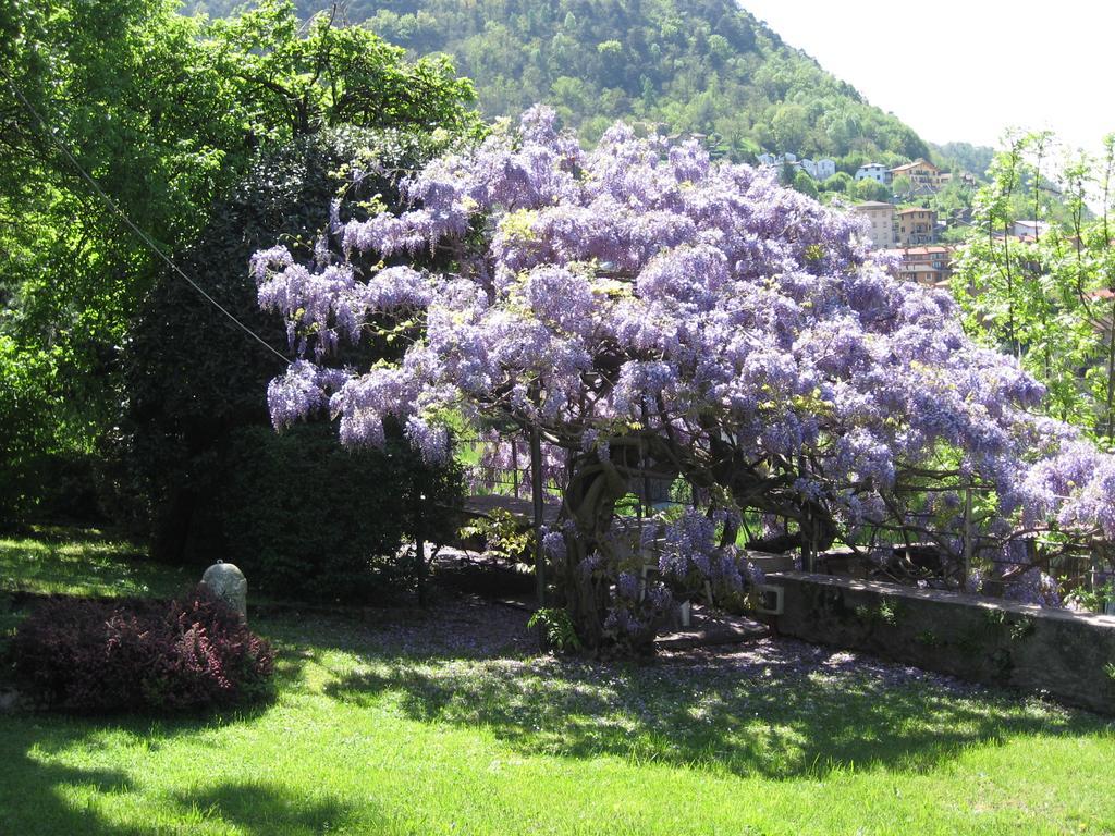 Casa Gibiseo Apartment Bellano Luaran gambar