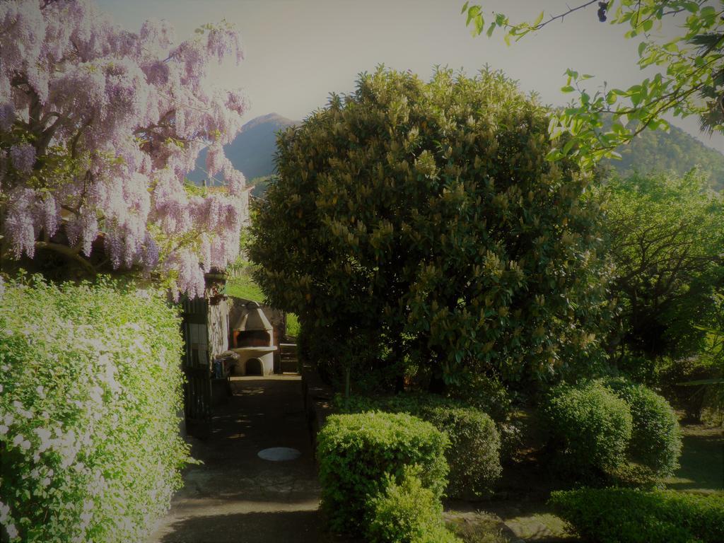 Casa Gibiseo Apartment Bellano Luaran gambar